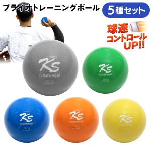 KaRaDaStyle プライオボール 5種セット 野球 球速アップ トレーニングボール 投手 プアボール サンドボール 練習 ウエイトボール 重いボ