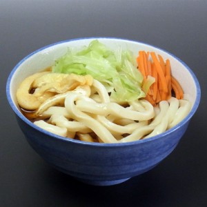 【送料無料】山梨 創業明治35年 平井屋 吉田のうどん ｜直送品｜お取り寄せグルメ ギフト プレゼント HIS  ID:SH10596