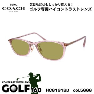 COACH サングラス ゴルフ HC6191BD 5666 54mm アジアンフィット コーチ 国内正規品