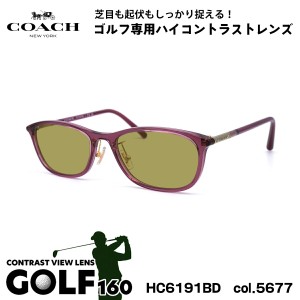 COACH サングラス ゴルフ HC6191BD 5677 54mm アジアンフィット コーチ UVカット 国内正規品