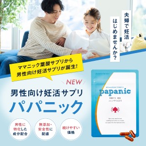 男性 マカ サプリ パパニック 1ヶ月分 93粒 有機 亜鉛 葉酸 コエンザイムQ10 栄養機能食品 ビタミンE ビタミン カルニチン α-リポ酸