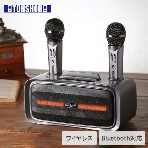 ワイヤレスマイクスピーカー マイク2本付き カラオケ  ST-2028  マイクスピーカー カラオケマイク Bluetooth ワイヤレス 拡声器 USB充電 