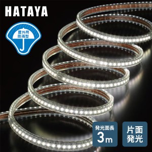 LED テープライト 3m 片面発光 屋外用防雨型 最大連結24m 長さ調節可能  TL3 スケルトン  LEDライト 照明 作業灯 電気 電灯 防水 防塵 長