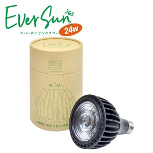 EVERSUN365 エバーサン サンロクゴー  EVERSUN365  植物育成 LEDライトランプ 照明 観葉植物 多肉植物 水耕栽培 テラリウム塊根植物 サボ