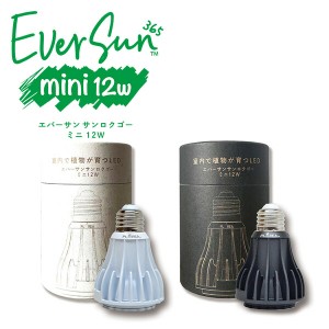 EVERSUN365 MINI エバーサン サンロクゴー ミニ  EVERSUN365 MINI ブラック  植物育成 LEDライトランプ 照明 観葉植物 多肉植物 水耕栽培