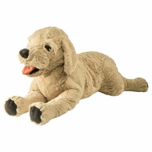 IKEA イケア ソフトトイ ぬいぐるみ  ゴールデンレトリバー 犬 イエロー 70cm 30169342 GOSIG GOLDEN ゴーシグ ゴールデン