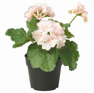 IKEA イケア 人工観葉植物 室内 屋外用 Geranium ライトピンク 9cm m50571686 FEJKA フェイカ 