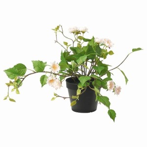 IKEA イケア 人工観葉植物 室内 屋外用 バラ ライトピンク 12cm m70571690 FEJKA フェイカ 