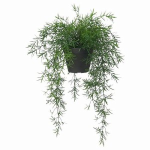 IKEA イケア 人工観葉植物 4号 室内 屋外用 アスパラガス つり下げ型 12cm m80571680 FEJKA フェイカ 