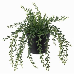 IKEA イケア 人工観葉植物 室内 屋外用 グリーンネックレス 9x20cm m40395325 FEJKA フェイカ