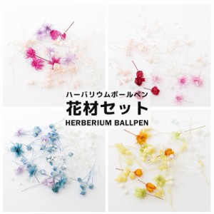 【色が選べる】ハーバリウムボールペン 花材 フラワーダスト 花材 ドライフラワー 封入パーツ ハーバリウムペン ハーバリウム ペン 手作