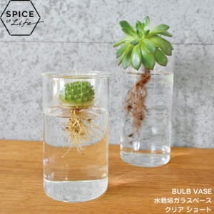 スパイス SPICE BULB VASE 水栽培ガラスベース クリア ショート KEGY4060 4548815014738 [スパイス]