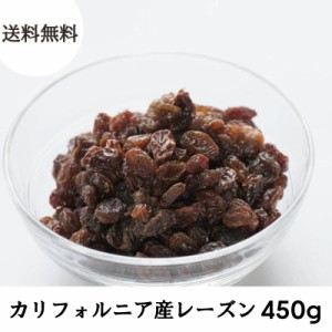 カリフォルニア レーズン ドライフルーツ 450g 送料無料  砂糖不使用 ほしぶどう