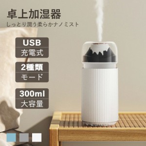 13日限定10%OFF 卓上加湿器 小型 加湿器 USB充電式 車用 車載加湿器 300ml 静音 超音波式 ナイトライト コンパクト加湿器 次亜塩素酸水対