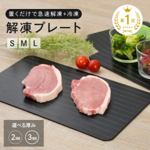 解凍プレート 急速解凍 まな板 解凍板 解凍ツール 粗熱 正規品 肉 ホタテ 解凍まな板 自然解凍プレート冷凍食品 業務用家庭用 急速 食品