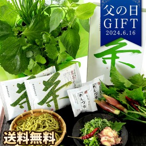 父の日 プレゼント ギフト 育てて楽しむ 苗 セット 野菜 薬味 茶そば うどん イベントギフトD 2024 送料無料 メッセージカード