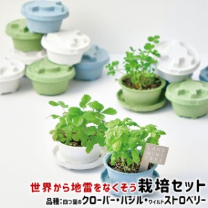 栽培セット ハーブ 聖新陶芸 PLANTS MINE 栽培キット GD-948 【聖新陶芸 栽培セット 栽培キット ハーブ クローバー 四つ葉のクローバー 