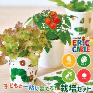 栽培セット 栽培キット 聖新陶芸 はらぺこあおむし ペタペタ＆すくすく栽培セット HP-01 【聖新陶芸 はらぺこあおむし 栽培セット 栽培キ