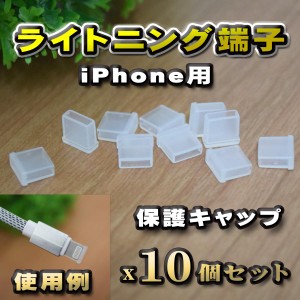 【端子キャップ】【ライトニング端子 iPhone用】 コネクター カバー 端子カバー 保護 カバーキャップ　カラー クリア 10個セット