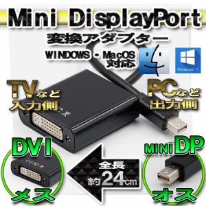 【No.2】mini DP to DVI 変換アダプター ミニディスプレイポート