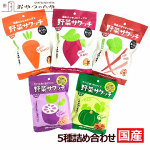 国産 野菜チップス 5種セット 野菜サクッチ にんじん れんこん ごぼう さつまいも かぼちゃ