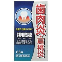 【第2類医薬品】 排膿散エキス錠J 63錠 ＜ハイノウサン＞（ジェーピーエス製薬）