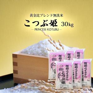 お米 30キロ 激安の通販｜au PAY マーケット