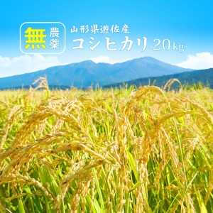 令和5年産 無農薬 コシヒカリ 20kg (5kgｘ4袋) 特別栽培米 (無洗米 白米 玄米) 送料無料 山形県産 10キロ 産地直送 ギフト ※一部地域は