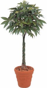 人工植物　グリーンデコ　パキラ 2.1m  GD-97L（21778600）（タカショー） 送料無料　人工樹　観葉植物　室内用　インテリア