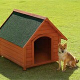 リッチェル　木製犬舎830　超小型〜中型犬用（犬小屋、ペットハウス）　（＊4t車以外での配送不可＊1Fエントランス渡し）