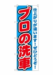 のぼり旗 のぼり屋工房 ☆G_のぼり GNB-1549 プロの洗車 W600×H1800 ポンジ 集客 販促品