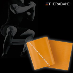 幅12.5cm×長さ2m ディーアンドエム メンズ レディース セラバンド THERABAND 強度レベル+5 トレーニングバンド エクササイズ マニュアル