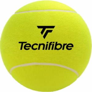 テクニファイバー メンズ レディース ジャンボボール JUMBO BALL テニス用品 サインボール イエロー 黄色 送料無料 tecnifibre 55TFGBJAU