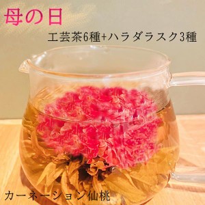 母の日 工芸茶セット 工芸茶6種+ラスク3種 カーネーション ジャスミン ハラダ お茶 菓子 ギフト 送料無料