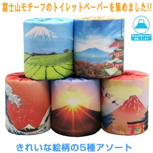 販促用トイレットペーパー 富士山 5種類アソート 個包装50個 ダブル30m