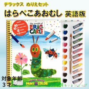 デラックス PAINT＆COLOR ぬりえ セット はらぺこあおむし コストコ ポイント消化