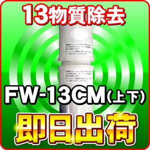 フジ医療器 純正カートリッジ FW-13CM 整水器　浄水器　フィルター「トレビFW-507、FW-5050、FWH-6000 等対応