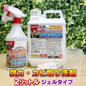 【強力・カビ除去洗剤】 カビ除去剤　ジェルタイプ　2リットル　カビ取り　コケ取り　カビ（黒カビ）落とし　パイプ洗浄　ヌメリ洗浄　洗