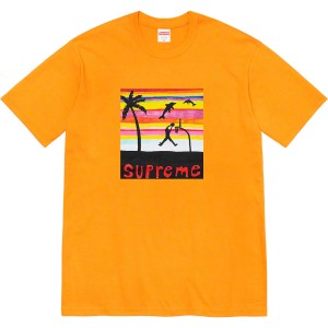 Supreme Dunk Tee シュプリーム ダンクTシャツ