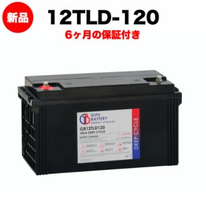 12TLD-120 新品 ディープサイクルバッテリー 岐阜バッテリー オリジナルVRLA鉛蓄電池 送料無料（本州・四国・九州）