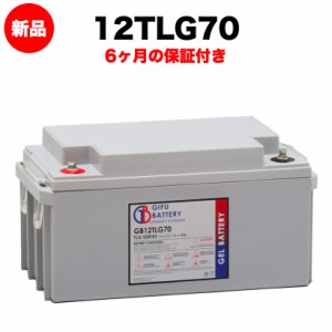 12TLG70 新品 岐阜バッテリー オリジナルVRLA鉛蓄電池 送料無料（本州・四国・九州）