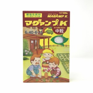 ハイポネックス マグァンプK 中粒 500g 化成肥料 グランドカバー 元肥  観葉植物 お花の苗 プランター クラピアK7に