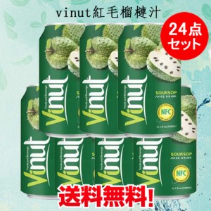 Vinut紅毛榴？汁　サワーソッフジュース　ベトナム産　飲み物　330ml×24　送料無料（沖縄を除く）