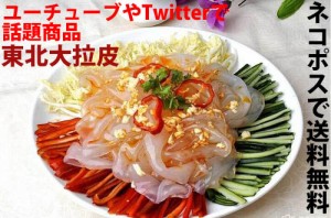 【2点セット】友盛東北大拉皮　極太中国タンミョン　中国春雨　ユーチューブやTwitterで話題　180g×2　ネコポスで送料無料