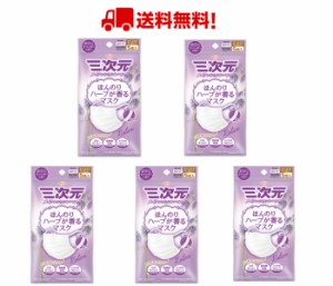 【あす楽・純日本製】５個セット　三次元マスク ほんのりハーブが香るマスク ラベンダーの香り 少し小さめ M-Sサイズ 5枚入 興和