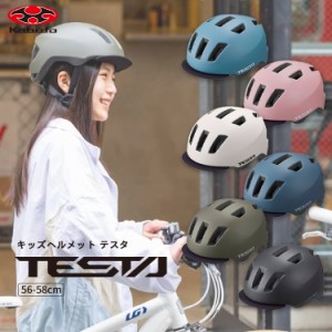 送料無料＼SGマーク認定／TESTA/テスタ キッズヘルメット 子供用 Lサイズ[56〜58cm] 10歳くらい〜 バイザー付 OGKカブト 沖縄県送料別途