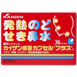 カイゲン感冒カプセル プラス 36カプセル【第(2)類医薬品】