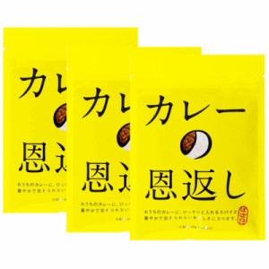 ポスト投函便（3袋セット マスコット カレーの恩返し 40g×3個）ほぼ日 カレー スパイス 583698