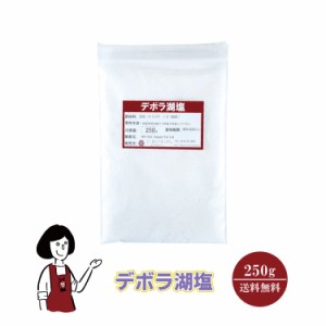 デボラ湖塩　250g メール便 送料無料 塩 ソルト 調味料 オーストラリア 湖塩 自然結晶塩 ミネラル 魚介料理 和食 肉料理 小分け こわけや