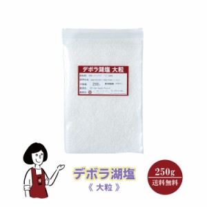 デボラ湖塩≪大粒≫250g メール便 送料無料 塩 ソルト 調味料 オーストラリア 湖塩 自然結晶塩 ミネラル 魚介料理 和食 肉料理 小分け こ